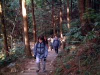 �������ꂽ�K�i