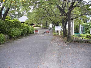 �E��ɂ͋|�r���������B