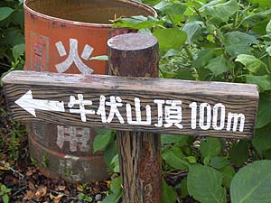 �����R��100m�̊Ŕ�