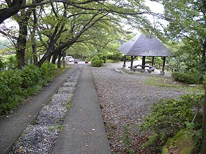 ��������������B