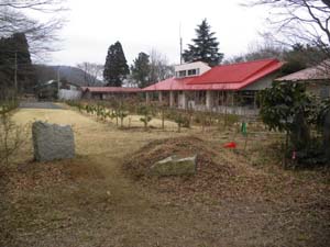 �����S��