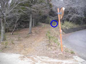 ���H�e�̃n�C�L���O�R�[�X