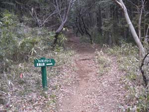 ���H�e�̃n�C�L���O�R�[�X