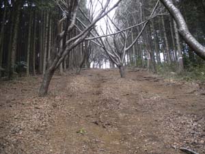 ���\�}�ł���`�`