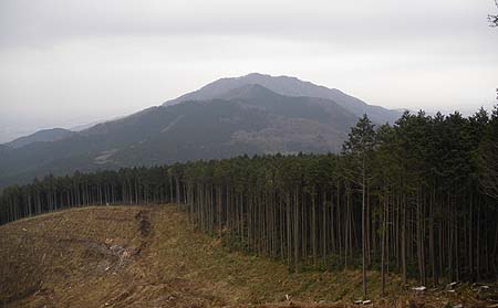 ���߂̗ǂ��ꏊ