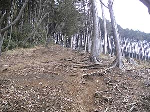 �����I�ɑ�����������i��