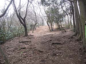 �����I�ɐi�ށ`