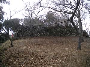 �l�H�I�ȕ��������ė����`