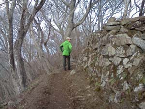 ���R�J�n�`