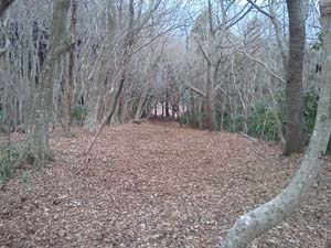 �Γx�������B