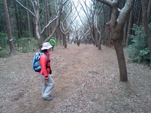 �^�������~����Ȃ�