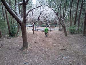 ���H�������ė����`