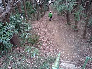 �����I�ɓ��͑����`