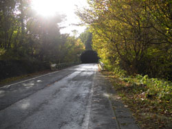 �㉖���X�m�[�V�F���^�[