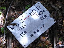 �����Ă����W��