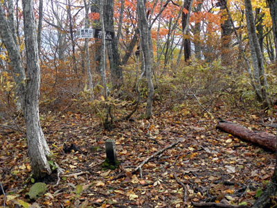 若見山 山頂(1126m)
