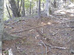 �ŏ��̕���_