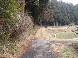 ���R�̘[�� �̂ǂ���