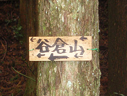 ����̕W��