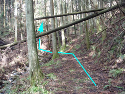 �ѓ��I��蕪��_