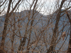 �R������̓W�]