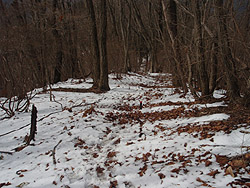 ����͊���