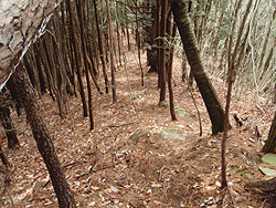 �����𒼐��I�ɉ���