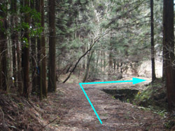 ����(T���H)