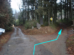 �x���H�̕���