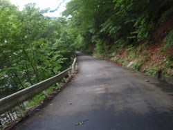 �A�X�t�@���g�̓�