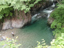 �ނ���y���ސl