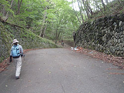 �ה����̕W��