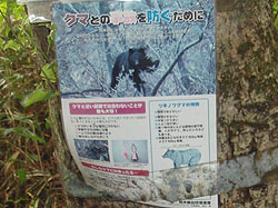 �N�}�ɒ���