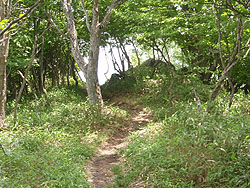 ��x�R �R��(1420m)