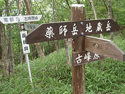 ��t�̌�(����_)