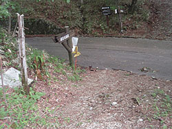 �ה����o�R��