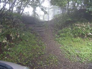 �ڂ̑O�ɓ���i�񂾁`