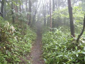 �v�����ȏ�ɉ��[���`�H