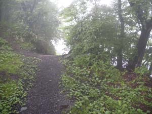 �_�Љ��̓�