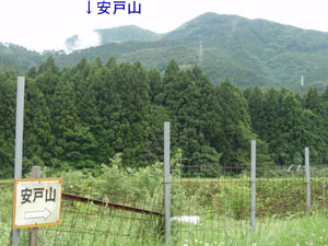 ���ˎR�ƊŔ�