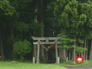 �Â߂������_��