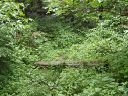 �ۑ��Ői���ł��Ȃ�