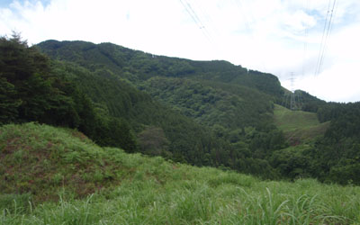 �S������̒���