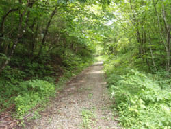 ���i���A���炾�����