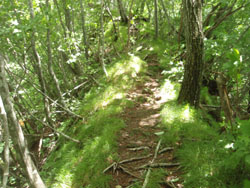 �₹�C���� ��������i��