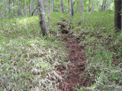 �����̓�