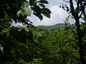 �R������̒���