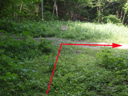 �A�O���p���̊Ŕ�