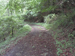 �����`�ѓ�����