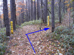 8���S���ւ̕���